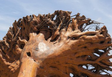 Doğanın güzel manzarası