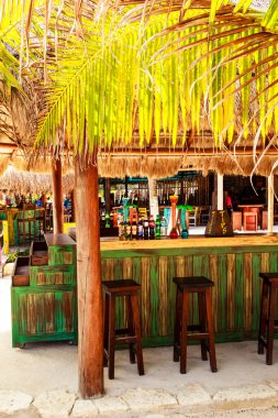 COSTA MAYA - MEXICO, 30 Ocak 2016: Kosta Maya yolcu gemisi terminali ve bu tropik cenneti bekleyen birçok eğlence beldesi.