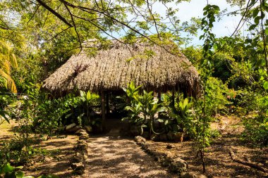 COSTA MAYA, MEXICO - 29 Ocak 2016: Maya 'nın Yucatan' daki evi, geleneksel ve işlevsel Maya evi. 
