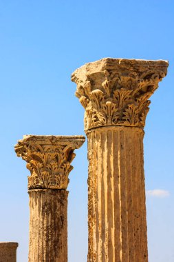 İsrail 'in başkentindeki Yunan tapınağının antik kolonları.