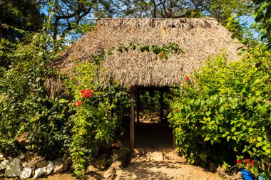 COSTA MAYA, MEXICO - 29 Ocak 2016: Maya 'nın Yucatan' daki evi, geleneksel ve işlevsel Maya evi. 