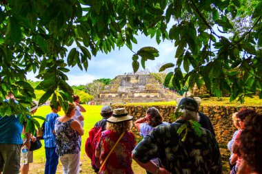 BELIZE - 26 Ocak 2016: Belize 'deki Altun Ha Maya Harabeleri bir zamanlar eski İngiliz Honduras' ının başkentiydi.