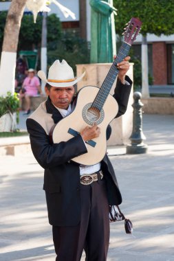 Puerto Vallarta Mexico 1 Ocak 2008: Sanatçı sokakta ziyaretçiler için gitar çalıyor.