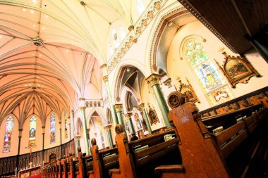 Barselona şehrindeki kutsal mezarlığın katedralinin içinde.