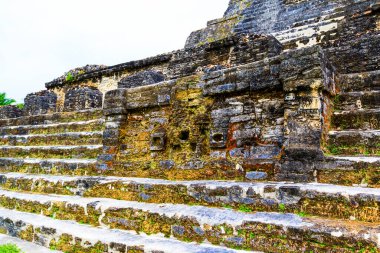 Meksika 'daki antik Maya uygarlığının kalıntıları. 