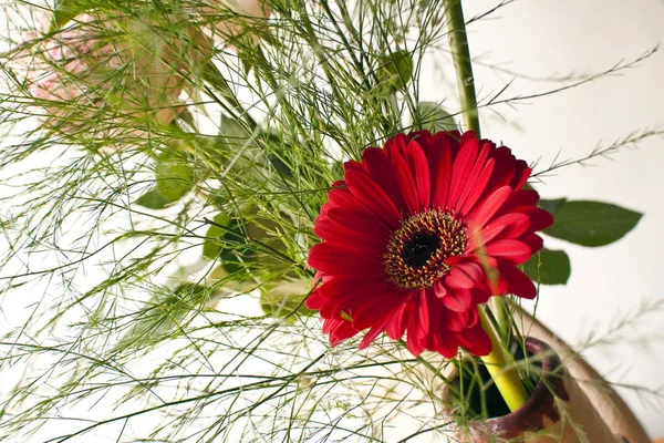 Blumenstrauß Auf Hellem Hintergrund Sommerkonzept Nahsicht — Stockfoto