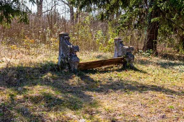 Picturesque View Old Ruined Bench Endless Forest Sunny Day —  Fotos de Stock