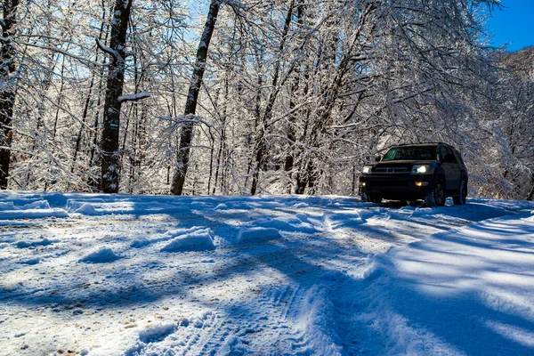 Car Snow Covered Trees Forest — Fotografia de Stock