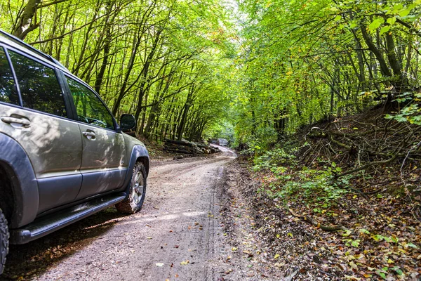 View Car Driving Road Forest Sunny Day — Foto de Stock