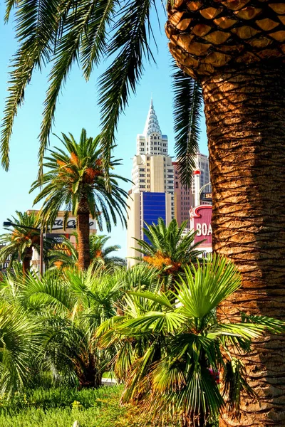 Las Vegas Nevada Usa พฤษภาคม 2015 โรงแรมและคาส โนในลาสเวก — ภาพถ่ายสต็อก