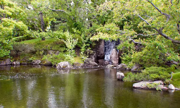 公園内の川の美しい景色 — ストック写真