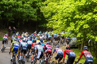 Fransa Turu 2019 yarışması