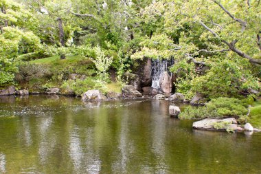 Parktaki nehrin güzel manzarası