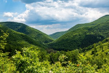 Dağların güzel manzarası ve yeşil bitki örtüsü 