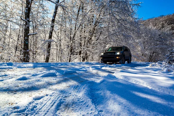 Car Driving Road Forest Winter Sunny Day — Stock fotografie