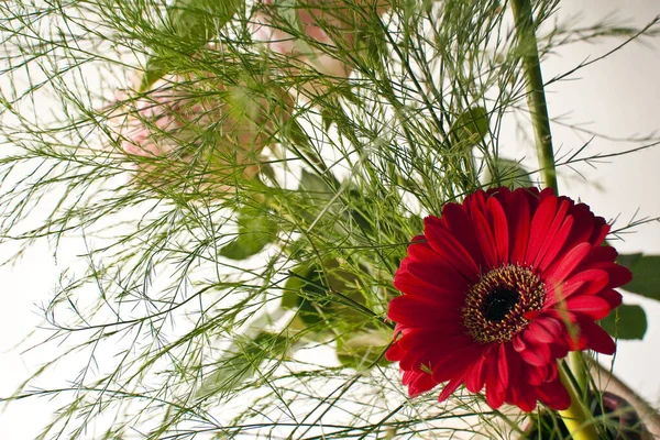 Blumenstrauß Auf Hellem Hintergrund Sommerkonzept Nahsicht — Stockfoto