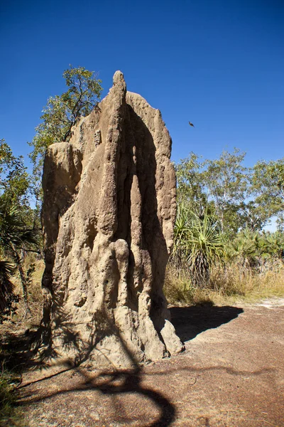 Formazioni Rocciose Nel Parco Nazionale Dello Stato Israele — Foto Stock