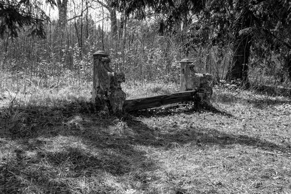 Viejo Banco Madera Bosque — Foto de Stock