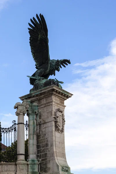 Turbulenter Vogel — Stockfoto