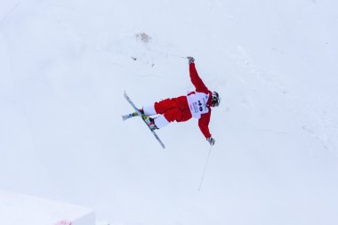 Freestyle FIS Dünya Kayak Kupası - 2015 Calgary
