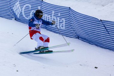 Freestyle FIS Dünya Kayak Kupası - 2015 Calgary