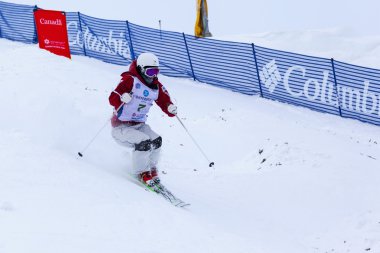 Freestyle FIS Dünya Kayak Kupası - 2015 Calgary