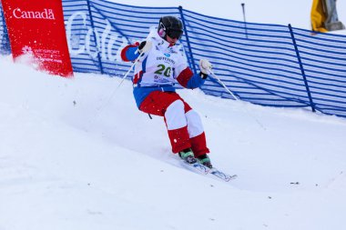 Freestyle FIS Dünya Kayak Kupası - 2015 Calgary
