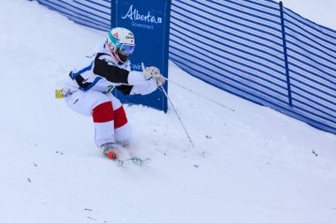 Freestyle FIS Dünya Kayak Kupası - 2015 Calgary