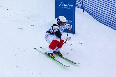Freestyle FIS Dünya Kayak Kupası - 2015 Calgary