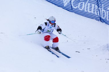 Freestyle FIS Dünya Kayak Kupası - 2015 Calgary