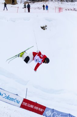 Freestyle FIS Dünya Kayak Kupası - 2015 Calgary