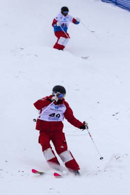 Freestyle FIS Dünya Kayak Kupası - 2015 Calgary