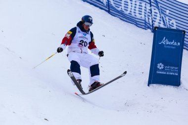 Freestyle FIS Dünya Kayak Kupası - 2015 Calgary
