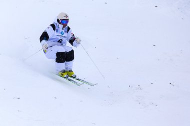 Freestyle FIS Dünya Kayak Kupası - 2015 Calgary