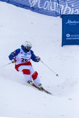 Freestyle FIS Dünya Kayak Kupası - 2015 Calgary