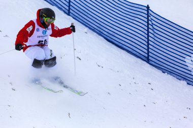 Freestyle FIS Dünya Kayak Kupası - 2015 Calgary