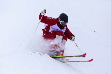 Freestyle FIS Dünya Kayak Kupası - 2015 Calgary