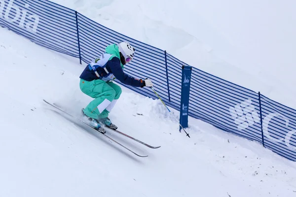 FIS Freestyle Puchar Świata - 2015 Calgary — Zdjęcie stockowe