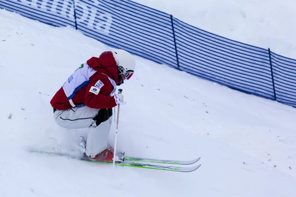 Παγκόσμιο Κύπελλο Σκι FIS Freestyle - 2015 Κάλγκαρι — Φωτογραφία Αρχείου