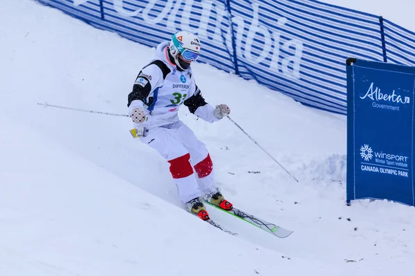 2009 年 Fis フリー スタイル スキー ・ ワールド カップ - 2015年カルガリー — ストック写真