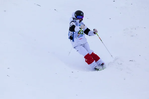 Copa del Mundo de Esquí FIS Freestyle - 2015 Calgary —  Fotos de Stock