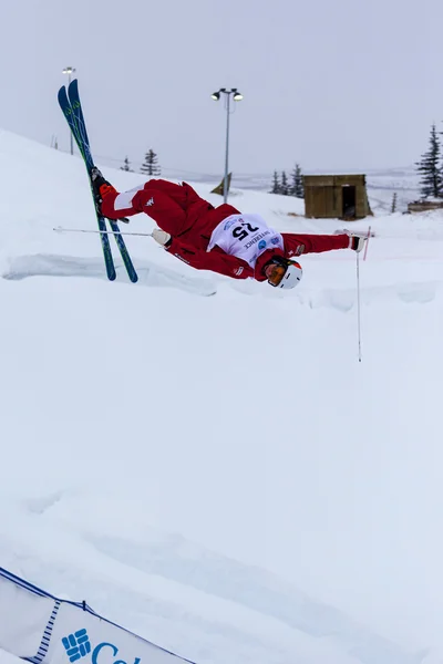 Coupe du monde FIS de ski acrobatique 2015 Calgary — Photo