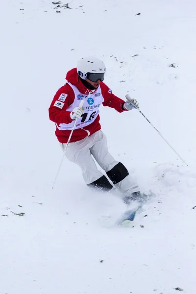 Coppa del Mondo di sci freestyle FIS - Calgary 2015 — Foto Stock