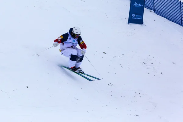 Παγκόσμιο Κύπελλο Σκι FIS Freestyle - 2015 Κάλγκαρι — Φωτογραφία Αρχείου