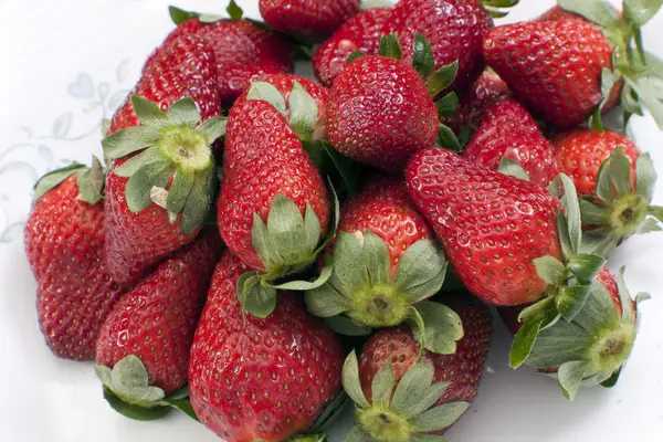 Schale mit Erdbeeren — Stockfoto
