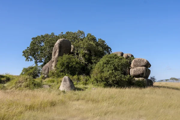 Paisagem africana — Fotografia de Stock