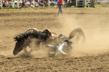 Rodeo Bronco biniciler