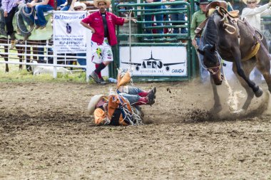 Rodeo Bronco biniciler