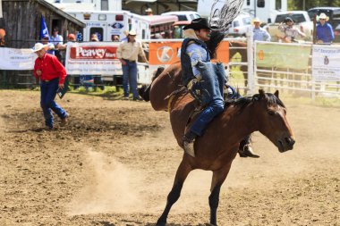 Rodeo Bronco biniciler