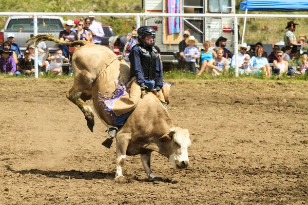 Touro de rodeio montando — Fotografia de Stock